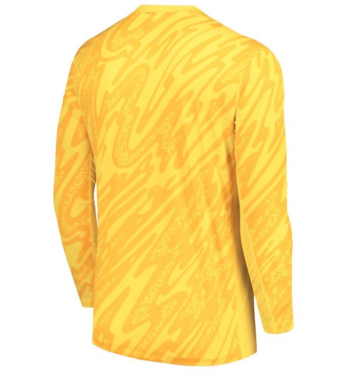 France25 Goalkeeper Jersey3