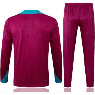 PSG 24/25 Half-Zip Tracksuit (Purple/Teal)