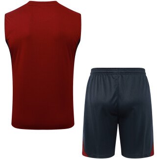 Arsenal 25/26 Sleeveless Training Kit