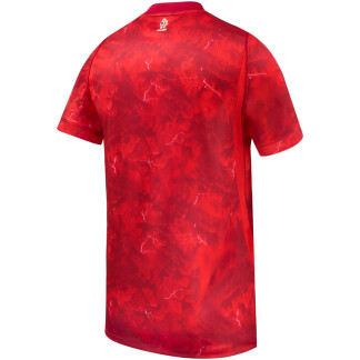 Poland 26/27 Away Jersey